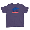 international house of stark Youth Tee