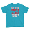 why is the carpet wet todd Youth Tee