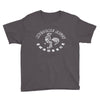 awesome sauce asian humor rooster funny cool Youth Tee