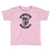 saints of nicholas (2) Toddler T-shirt
