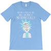 mathematically T-Shirt