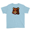 bear meme Youth Tee