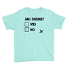 am i drunk Youth Tee