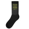 education is important but skiing is importanter Socks