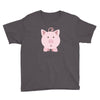 cute surprised pig pig Youth Tee