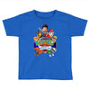 paw patrol birthday boy sister Toddler T-shirt