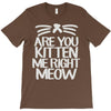 are you kitten me right meow T-Shirt