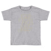 same old shirt Toddler T-shirt