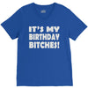 it's my birthday b...hes V-Neck Tee