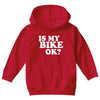 is my bike ok Youth Hoodie