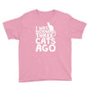 i was normal three cats ago lol funny cat Youth Tee