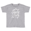 dear santa i really did try Toddler T-shirt