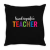 Kindergarten Teacher Throw Pillow