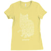 schr&ouml;dinger&rsquo;s equation Ladies Fitted T-Shirt