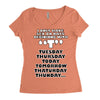 i only have sex, ideal gift, birthday present funny Women's Triblend Scoop T-shirt