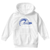 I Don't Care How Many Miles Per Gallon Youth Hoodie
