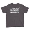 Animals Are Not Ingredients Youth Tee