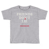 friends don't lie Toddler T-shirt