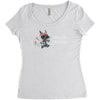 dragon training Women's Triblend Scoop T-shirt