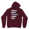 This is What Trans Looks Like Unisex Hoodie