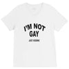 i'm not gay just kidding V-Neck Tee