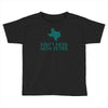 don't mess with tetris Toddler T-shirt