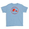 quebec nordiques hockey team Youth Tee