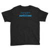 i don't get drunk Youth Tee
