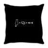 Cat Math Throw Pillow
