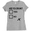 are you drunk check Ladies Fitted T-Shirt