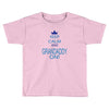 keep calm and grandaddy on! Toddler T-shirt