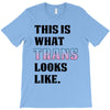 This is What Trans Looks Like T-Shirt