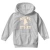maine Youth Hoodie