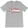 i am not insane inspired by the big bang theory, ideal birthday T-Shirt