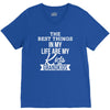 the best thing in my life are my kids and my grandkids V-Neck Tee