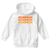 pumpkin pumpkin pumpkin Youth Hoodie
