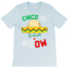 cinco de meow T-Shirt