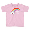 Rainbow Baby Toddler T-shirt