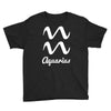 aquarius zodiac Youth Tee