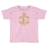 why would you put that on the internet Toddler T-shirt