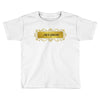 nice dream Toddler T-shirt
