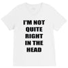 i'm not quite right in the head V-Neck Tee