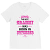 The Best Grammy Was Born In November V-Neck Tee