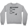 are you drunk check Crewneck Sweatshirt