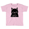 black cat (2) Toddler T-shirt