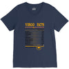Virgo Facts Zodiac V-Neck Tee