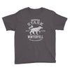 house stark winterfell Youth Tee