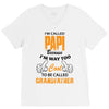 I'm Called Papi Because  I'm Way Too Cool To Be Called Grandfather V-Neck Tee