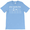 she wants the d   guitar chord(,she,wants,joke,visual,pun,funny,humor, T-Shirt