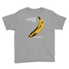 the velvet underground rock music band Youth Tee